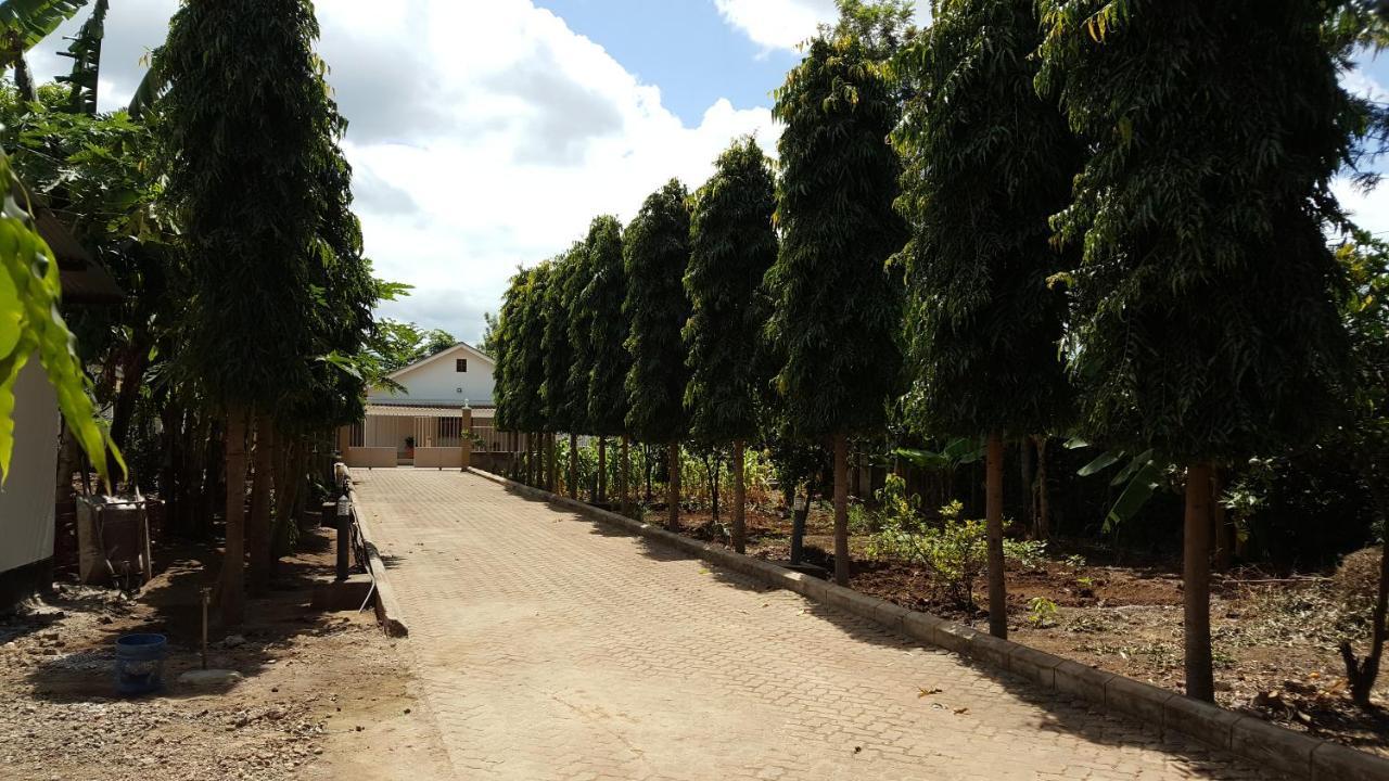 Kilimanjaro Country House Moshi Ngoại thất bức ảnh