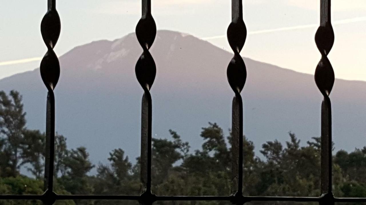 Kilimanjaro Country House Moshi Ngoại thất bức ảnh
